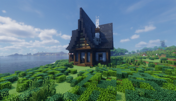 Minecraft Medieval Hub House