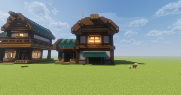 Minecraft Hub House